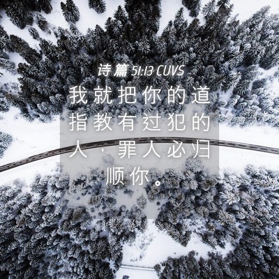 Picture 04 - 诗 篇 51:13 CUVS - 我 就 把 你 的 道 指 教 有 过 犯 的 - Bible Verse Picture