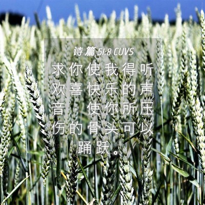 Picture 04 - 诗 篇 51:8 CUVS - 求 你 使 我 得 听 欢 喜 快 乐 的 声 - Bible Verse Picture