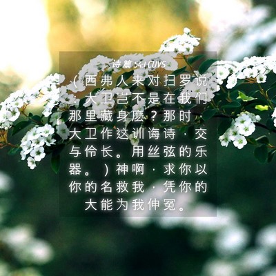 Picture 04 - 诗 篇 54:1 CUVS - （ 西 弗 人 来 对 扫 罗 说 ： 大 卫 - Bible Verse Picture