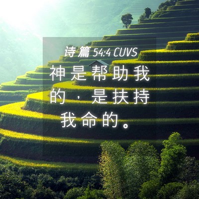 Picture 04 - 诗 篇 54:4 CUVS - 神 是 帮 助 我 的 ， 是 扶 持 我 命 - Bible Verse Picture