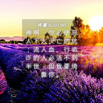 Picture 04 - 诗 篇 55:23 CUVS - 神 啊 ， 你 必 使 恶 人 下 入 灭 亡 - Bible Verse Picture