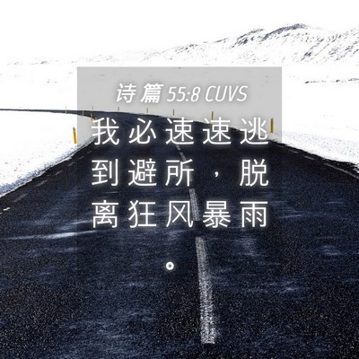 Picture 04 - 诗 篇 55:8 CUVS - 我 必 速 速 逃 到 避 所 ， 脱 离 狂 - Bible Verse Picture