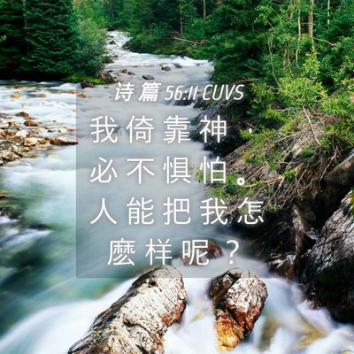 Picture 04 - 诗 篇 56:11 CUVS - 我 倚 靠 神 ， 必 不 惧 怕 。 人 能 - Bible Verse Picture