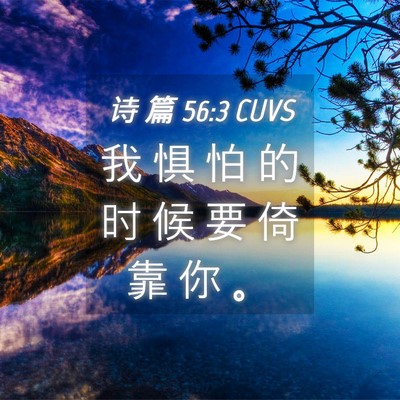 Picture 04 - 诗 篇 56:3 CUVS - 我 惧 怕 的 时 候 要 倚 靠 你 - Bible Verse Picture