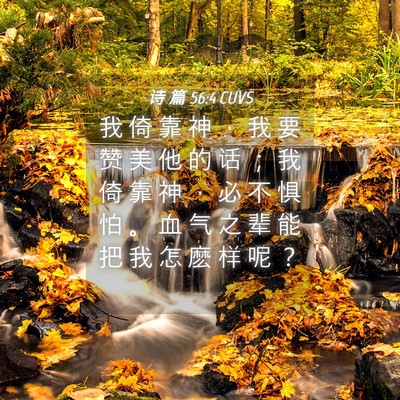 Picture 04 - 诗 篇 56:4 CUVS - 我 倚 靠 神 ， 我 要 赞 美 他 的 话 - Bible Verse Picture