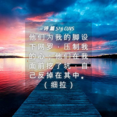 Picture 04 - 诗 篇 57:6 CUVS - 他 们 为 我 的 脚 设 下 网 罗 ， 压 - Bible Verse Picture