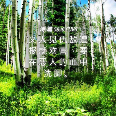 Picture 04 - 诗 篇 58:10 CUVS - 义 人 见 仇 敌 遭 报 就 欢 喜 ， 要 - Bible Verse Picture