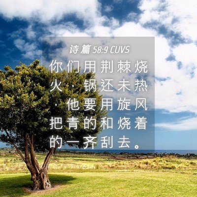 Picture 04 - 诗 篇 58:9 CUVS - 你 们 用 荆 棘 烧 火 ， 锅 还 未 热 - Bible Verse Picture