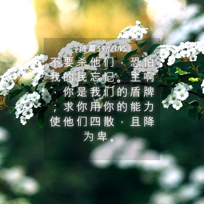 Picture 04 - 诗 篇 59:11 CUVS - 不 要 杀 他 们 ， 恐 怕 我 的 民 忘 - Bible Verse Picture