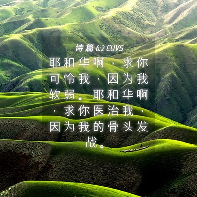 Picture 04 - 诗 篇 6:2 CUVS - 耶 和 华 啊 ， 求 你 可 怜 我 ， 因 - Bible Verse Picture