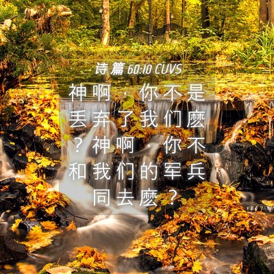 Picture 04 - 诗 篇 60:10 CUVS - 神 啊 ， 你 不 是 丢 弃 了 我 们 麽 - Bible Verse Picture