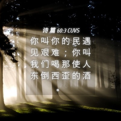 Picture 04 - 诗 篇 60:3 CUVS - 你 叫 你 的 民 遇 见 艰 难 ； 你 叫 - Bible Verse Picture
