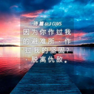 Picture 04 - 诗 篇 61:3 CUVS - 因 为 你 作 过 我 的 避 难 所 ， 作 - Bible Verse Picture