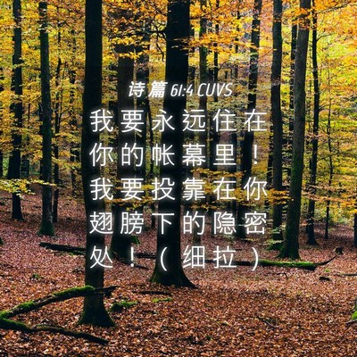 Picture 04 - 诗 篇 61:4 CUVS - 我 要 永 远 住 在 你 的 帐 幕 里 ！ - Bible Verse Picture