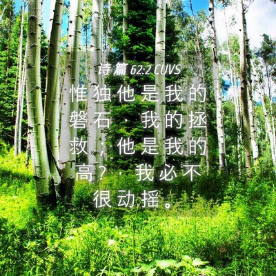 Picture 04 - 诗 篇 62:2 CUVS - 惟 独 他 是 我 的 磐 石 ， 我 的 拯 - Bible Verse Picture