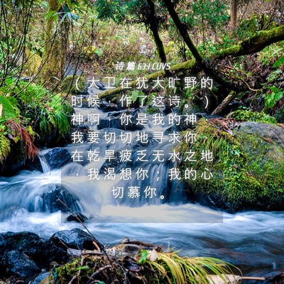 Picture 04 - 诗 篇 63:1 CUVS - （ 大 卫 在 犹 大 旷 野 的 时 候 ， - Bible Verse Picture