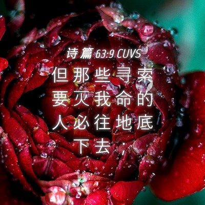 Picture 04 - 诗 篇 63:9 CUVS - 但 那 些 寻 索 要 灭 我 命 的 人 必 - Bible Verse Picture