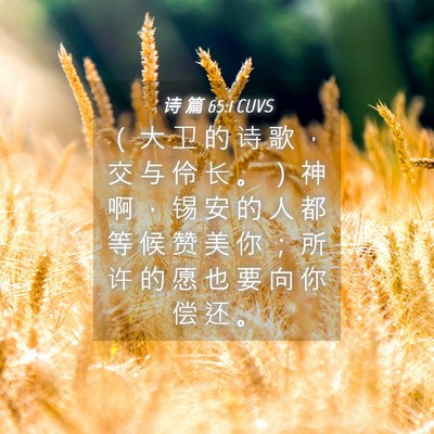 Picture 04 - 诗 篇 65:1 CUVS - （ 大 卫 的 诗 歌 ， 交 与 伶 长 。 - Bible Verse Picture