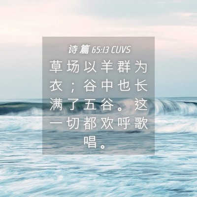 Picture 04 - 诗 篇 65:13 CUVS - 草 场 以 羊 群 为 衣 ； 谷 中 也 长 - Bible Verse Picture