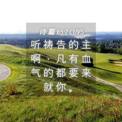 Picture 04 - 诗 篇 65:2 CUVS - 听 祷 告 的 主 啊 ， 凡 有 血 气 的 - Bible Verse Picture