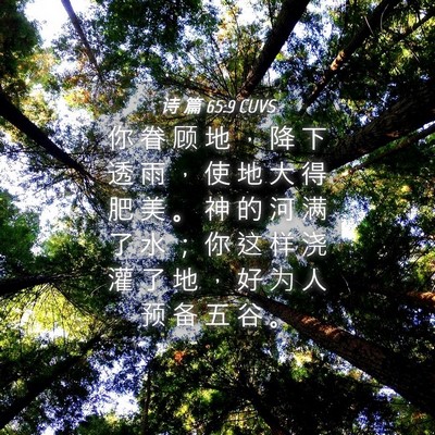 Picture 04 - 诗 篇 65:9 CUVS - 你 眷 顾 地 ， 降 下 透 雨 ， 使 地 - Bible Verse Picture