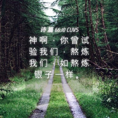 Picture 04 - 诗 篇 66:10 CUVS - 神 啊 ， 你 曾 试 验 我 们 ， 熬 炼 - Bible Verse Picture