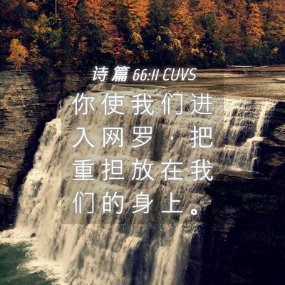 Picture 04 - 诗 篇 66:11 CUVS - 你 使 我 们 进 入 网 罗 ， 把 重 担 - Bible Verse Picture