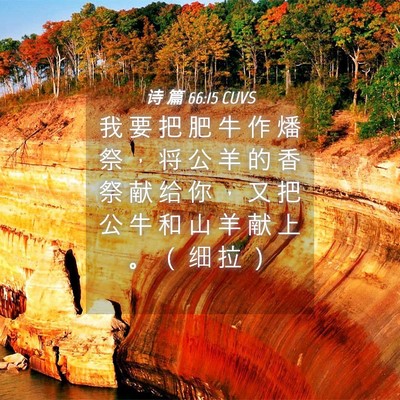 Picture 04 - 诗 篇 66:15 CUVS - 我 要 把 肥 牛 作 燔 祭 ， 将 公 羊 - Bible Verse Picture
