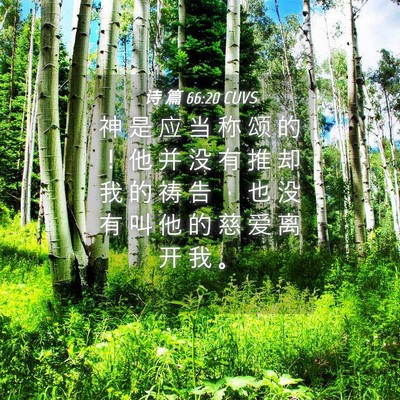 Picture 04 - 诗 篇 66:20 CUVS - 神 是 应 当 称 颂 的 ！ 他 并 没 有 - Bible Verse Picture