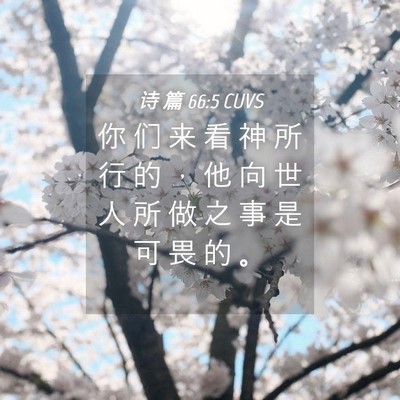Picture 04 - 诗 篇 66:5 CUVS - 你 们 来 看 神 所 行 的 ， 他 向 世 - Bible Verse Picture