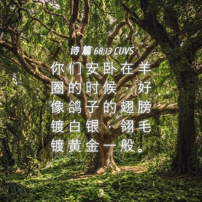 Picture 04 - 诗 篇 68:13 CUVS - 你 们 安 卧 在 羊 圈 的 时 候 ， 好 - Bible Verse Picture