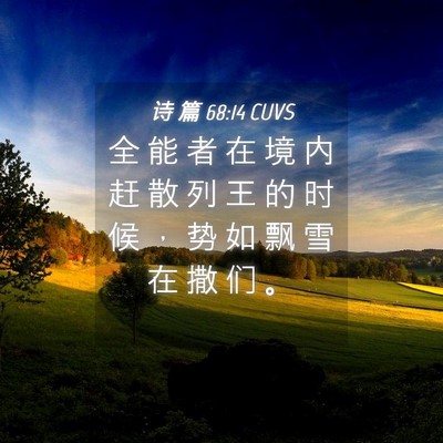 Picture 04 - 诗 篇 68:14 CUVS - 全 能 者 在 境 内 赶 散 列 王 的 时 - Bible Verse Picture