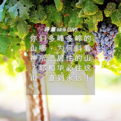 Picture 04 - 诗 篇 68:16 CUVS - 你 们 多 峰 多 岭 的 山 哪 ， 为 何 - Bible Verse Picture