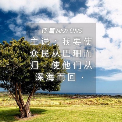 Picture 04 - 诗 篇 68:22 CUVS - 主 说 ： 我 要 使 众 民 从 巴 珊 而 - Bible Verse Picture