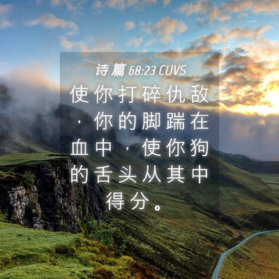 Picture 04 - 诗 篇 68:23 CUVS - 使 你 打 碎 仇 敌 ， 你 的 脚 踹 在 - Bible Verse Picture