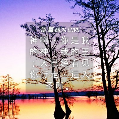 Picture 04 - 诗 篇 68:24 CUVS - 神 啊 ， 你 是 我 的 神 ， 我 的 王 - Bible Verse Picture