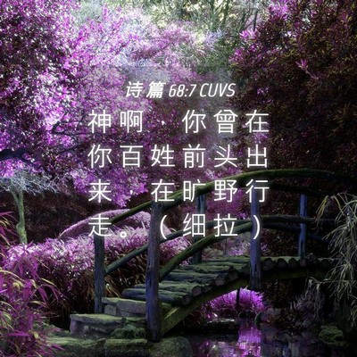 Picture 04 - 诗 篇 68:7 CUVS - 神 啊 ， 你 曾 在 你 百 姓 前 头 出 - Bible Verse Picture