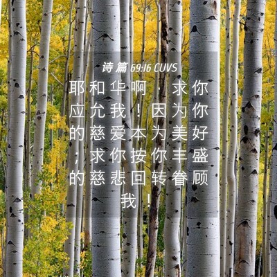Picture 04 - 诗 篇 69:16 CUVS - 耶 和 华 啊 ， 求 你 应 允 我 ！ 因 - Bible Verse Picture