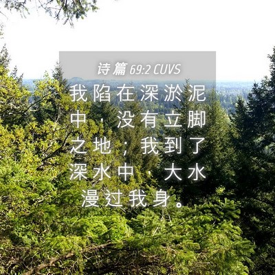 Picture 04 - 诗 篇 69:2 CUVS - 我 陷 在 深 淤 泥 中 ， 没 有 立 脚 - Bible Verse Picture