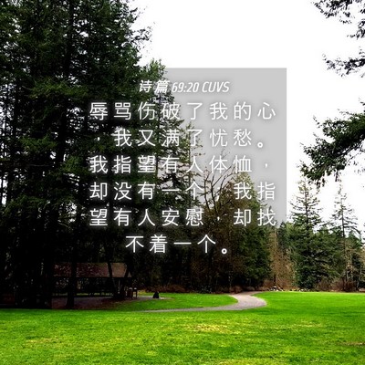 Picture 04 - 诗 篇 69:20 CUVS - 辱 骂 伤 破 了 我 的 心 ， 我 又 满 - Bible Verse Picture