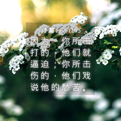 Picture 04 - 诗 篇 69:26 CUVS - 因 为 ， 你 所 击 打 的 ， 他 们 就 - Bible Verse Picture