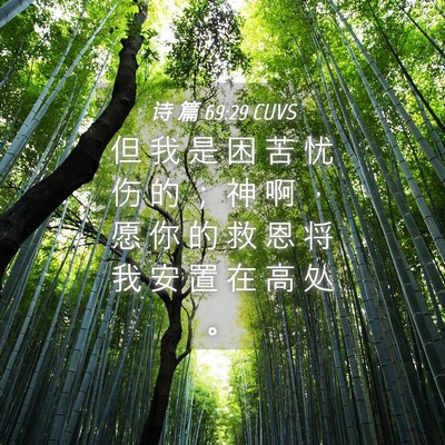 Picture 04 - 诗 篇 69:29 CUVS - 但 我 是 困 苦 忧 伤 的 ； 神 啊 ， - Bible Verse Picture