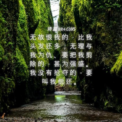 Picture 04 - 诗 篇 69:4 CUVS - 无 故 恨 我 的 ， 比 我 头 发 还 多 - Bible Verse Picture