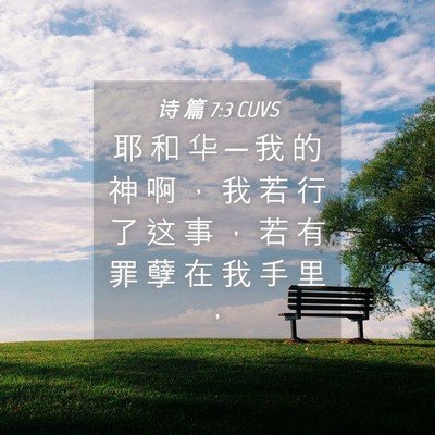 Picture 04 - 诗 篇 7:3 CUVS - 耶 和 华 ─ 我 的 神 啊 ， 我 若 行 - Bible Verse Picture