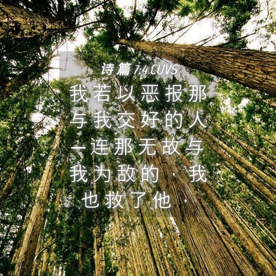Picture 04 - 诗 篇 7:4 CUVS - 我 若 以 恶 报 那 与 我 交 好 的 人 - Bible Verse Picture