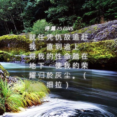Picture 04 - 诗 篇 7:5 CUVS - 就 任 凭 仇 敌 追 赶 我 ， 直 到 追 - Bible Verse Picture