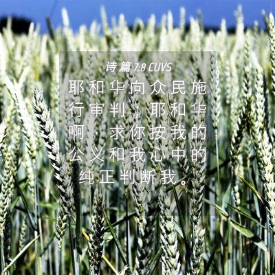 Picture 04 - 诗 篇 7:8 CUVS - 耶 和 华 向 众 民 施 行 审 判 ； 耶 - Bible Verse Picture