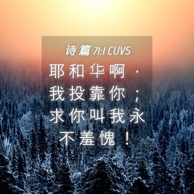 Picture 04 - 诗 篇 71:1 CUVS - 耶 和 华 啊 ， 我 投 靠 你 ； 求 你 - Bible Verse Picture