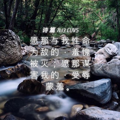 Picture 04 - 诗 篇 71:13 CUVS - 愿 那 与 我 性 命 为 敌 的 ， 羞 愧 - Bible Verse Picture