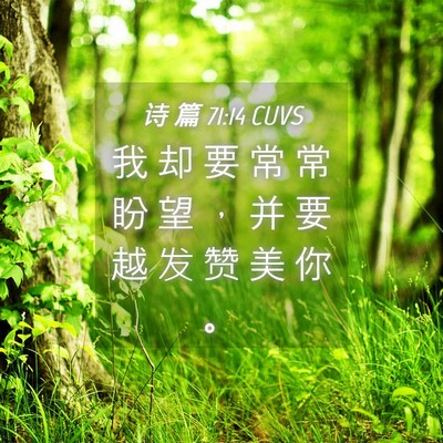 Picture 04 - 诗 篇 71:14 CUVS - 我 却 要 常 常 盼 望 ， 并 要 越 发 - Bible Verse Picture